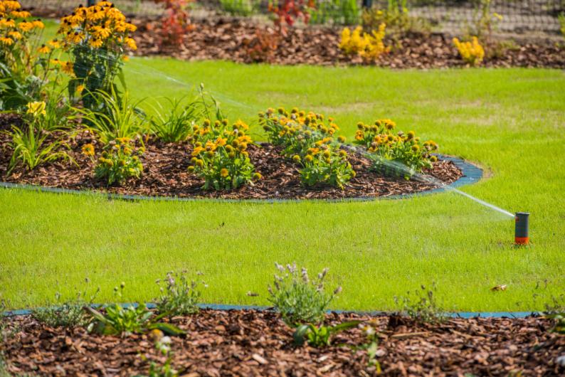 water sprinkler for grass and flowers